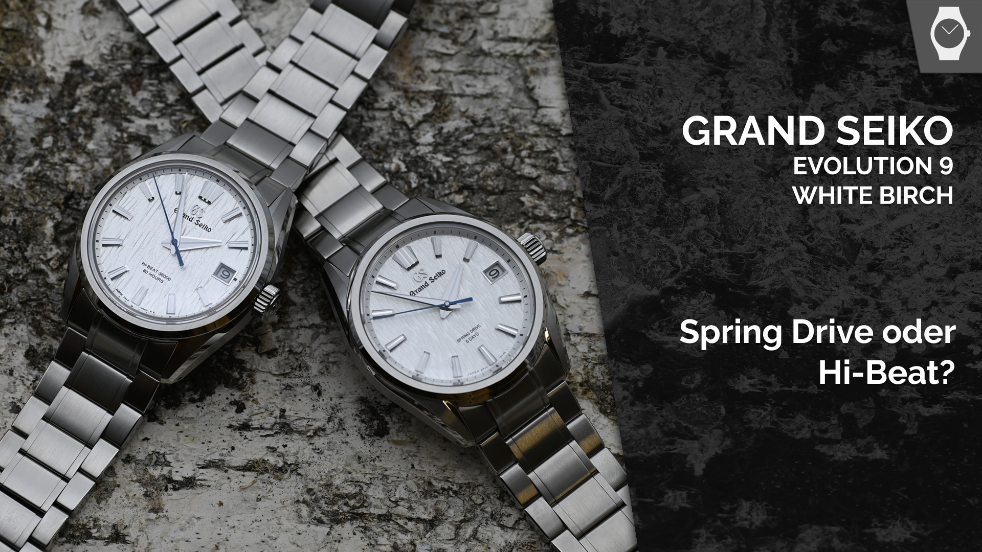 Grand Seiko Evolution 9 White Birch ARMBANDUHREN Das Magazin